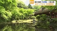 国の名勝・九年庵 3日間限定公開 140本のモミジと40種のコケが織りなす新緑の世界【佐賀県】