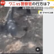 【ワニVS警察官】テキサス州各地で通報相次ぐ　威嚇するワニに捕…