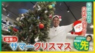 【映像】8月25日は“サマークリスマス”？　夏満載クリスマスカラーのグルメ続々【木村拓也のニュースちょい先】