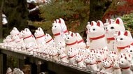 招き猫で“Lucky Cat Temple”としてSNSで話題　世田谷区の豪徳寺に外国人観光客が殺到…ビリー・アイリッシュも訪問