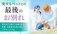 愛するペットとの最後のお別れ、業者はどう選ぶ？経験者が語る、葬儀・火葬業者を選ぶ際に重視したポイントとは