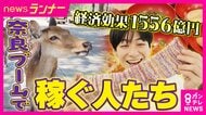 いま、奈良がアツい！宿泊者数が過去最多・経済効果1556億円の「奈良ブーム」　餅屋の「黒毛和牛重」に「自転車を漕いでつくる靴下」　ユニークなヒットの裏側