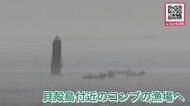 北方領土の貝殻島周辺のコンブ漁始まる_初日の水揚げは少なく厳しい船出…約180隻が一斉に出漁〈北海道根室市〉