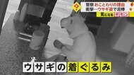 窃盗犯は「ウサギ」？着ぐるみ姿でコインランドリーに侵入　警察…