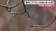 “37日ぶり”恵みの雨 愛媛県内で10日夜から翌朝にかけてまとまった雨を観測【愛媛】