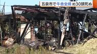 約30頭のウシ死ぬ…新潟・五泉市で“牛舎”が全焼する火事「火柱がボンボン立っていた」
