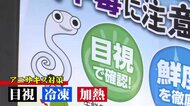 「胃を千枚通しで刺されたよう…」アニサキス食中毒が多発 背景にイワシの豊漁? 有効な対策は【鳥取発】