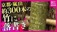 いずれは人に被害を及ぼす可能性も　嵐山の絶景竹林で相次ぐ「落書き」　「7～8年前から」始まり350本以上が被害