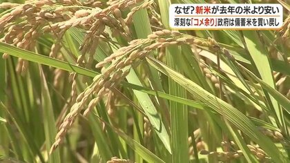 なぜ？新米が古米より安い　米5キロが1年で1300円以上値下がり　令和の米騒動のその後