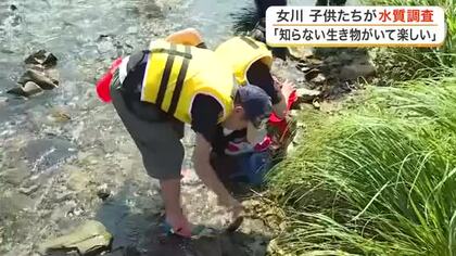 川を守る大切さを学ぶ　女川町で小学生が水生生物や水質を調査「知らない生き物がいて楽しかった」　宮城