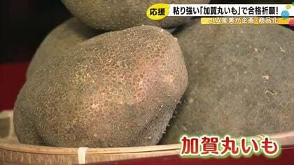 40箱限定…合格祈願の縁起物『加賀丸いも』販売を前に金澤神社で祈祷「粘り強く受験に打ち勝ってほしい」