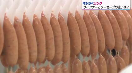 ウインナーとソーセージの違いとは？「ウインナーはソーセージの一種、太さ2cm未満」ミヤチク都農工場で疑問解決！