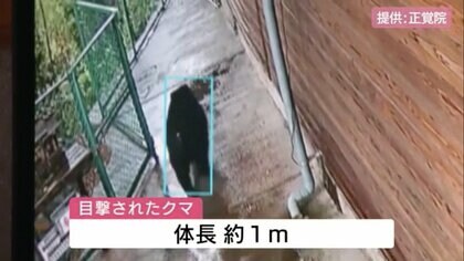 「クマは河川を通ってくる」専門家が指摘　市街地にクマ出没　地域の“クマレンジャー”が児童を見守る【広島発】