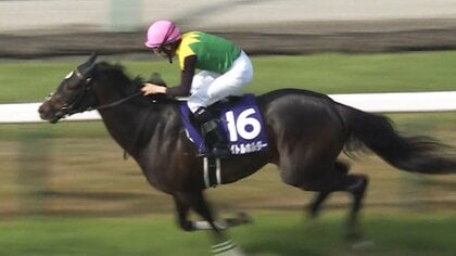 【宝塚記念】徹底予想！ファン投票上位が出走する 2022年上半期GⅠラストレースで、“魔の1番人気”連敗記録更新か？終止符か？