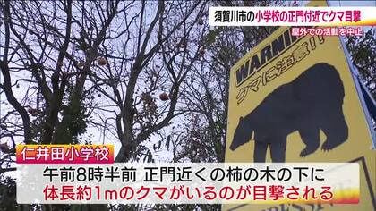 福島・須賀川市の小学校の正門近くでクマ目撃　屋外での活動中止　今週は保護者に児童の送り迎え依頼