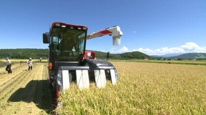 「世界一おいしい米を！」北海道ブランド米『ゆめぴりか』で収穫開始～有数の米どころ東川町で～2026年は気温上昇落ち着き“生育良し”平年並みの1万1500トン収穫予定→9月下旬に店頭へ〈北海道東川町〉
