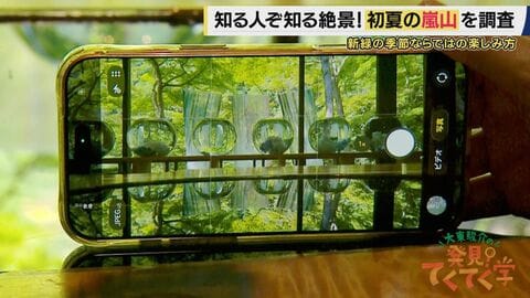 【嵐山】観光客が落ち着く“初夏”に楽しめる「鏡映しの青もみじ」　水害と景観を守るため驚きの仕掛け…　夏限定の絶品街中華も　京都・嵐山の初夏の魅力を再発見【大東駿介てくてく学】