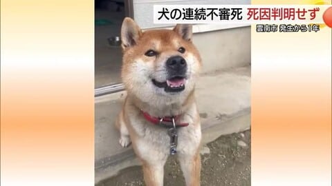 犬が散歩後に急死…「連続不審死」から1年　専門機関の調査でも死因の特定に至らず（島根・雲南市）