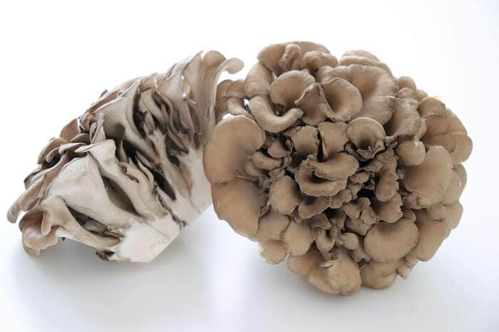 下ごしらえで肉料理が軟らかく仕上がるまいたけ