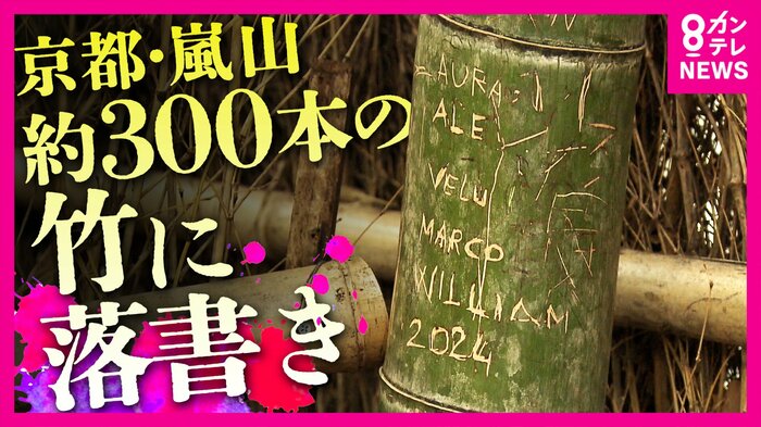 嵐山の絶景竹林で相次ぐ「落書き」