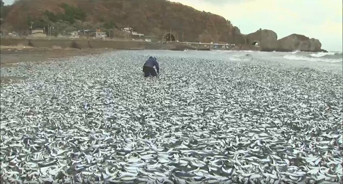 北海道函館市