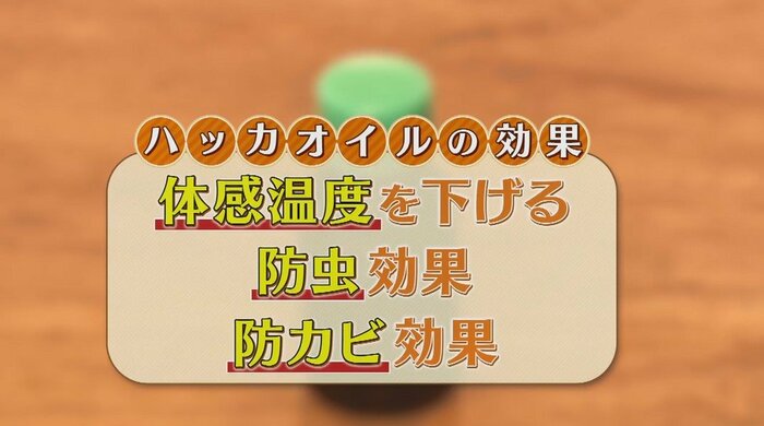 特に夏場に使える、一石三鳥の“ハッカオイルでの網戸ふき”