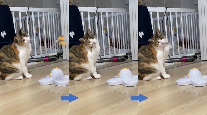 その後、徐々に興味を持ち始めたというちぃちゃん 顔にはまだ当たっている…