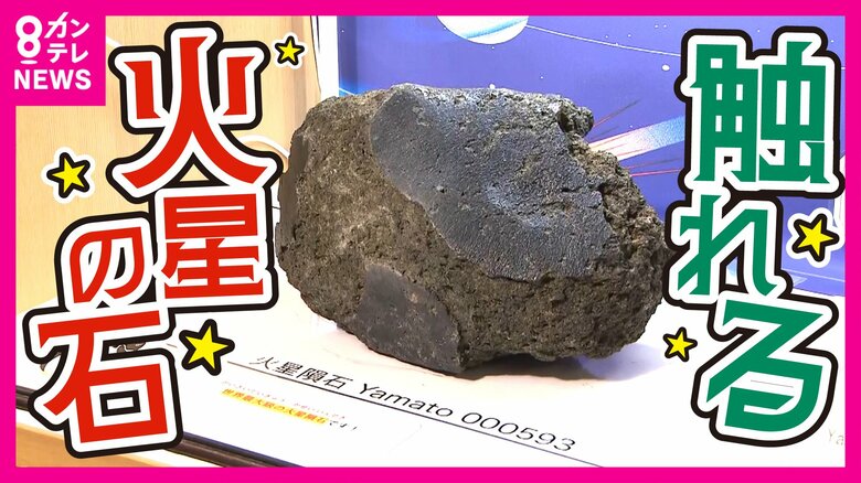 実際に触れる「火星の石」　大阪・関西万博で展示　前回の大阪万博では「月の石」に長蛇の列｜FNNプライムオンライン
