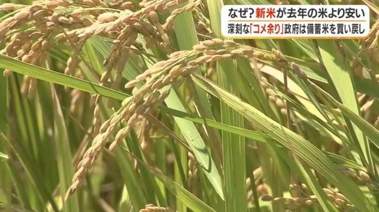 なぜ？新米が古米より安い　米5キロが1年で1300円以上値下がり　令和の米騒動の"その後"｜FNNプライムオンライン
