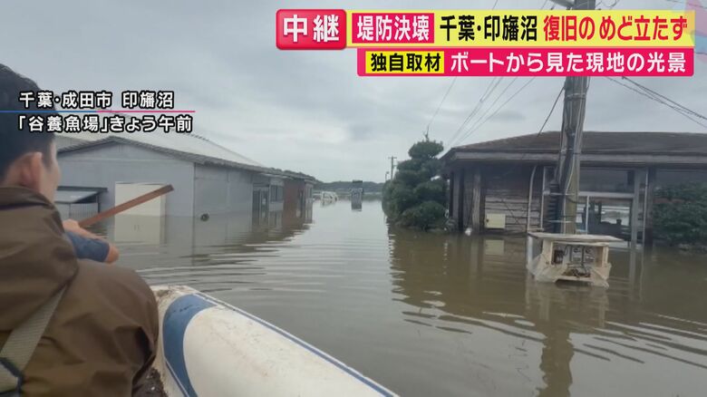 「水が引かないと何もできない」印旛沼・堤防決壊で65年の歴史ある養魚場が浸水　錦鯉など約10万匹が“逃げ出し”被害総額は10億円にも　養魚場の代表「魚の回収ほぼ不可能」 復旧見通し立たず｜FNNプライムオンライン