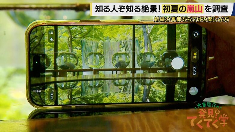 【嵐山】観光客が落ち着く“初夏”に楽しめる「鏡映しの青もみじ」　水害と景観を守るため驚きの仕掛け…　夏限定の絶品街中華も　京都・嵐山の初夏の魅力を再発見【大東駿介てくてく学】｜FNNプライムオンライン