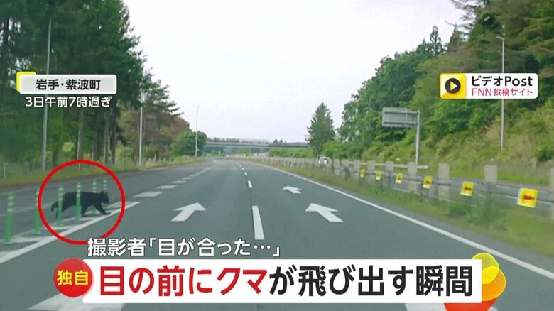 【独自】「目の前にクマが飛び出す瞬間」あわや事故ギリギリ回避「高速道路に飛び出してくるとは」衝突避けられず大破する車も｜FNNプライムオンライン