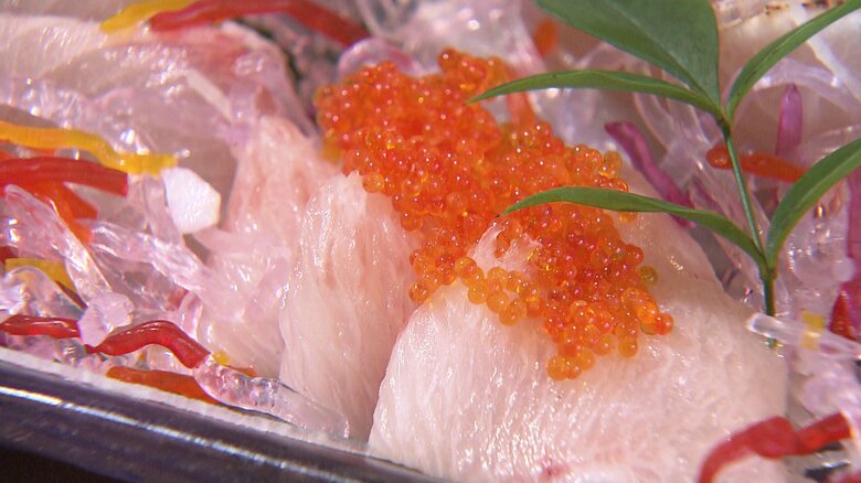 ブリよりウマイ？！「海のやっかいもの」が大逆転！平戸のシイラが美食家を虜にする訳【長崎発】｜FNNプライムオンライン