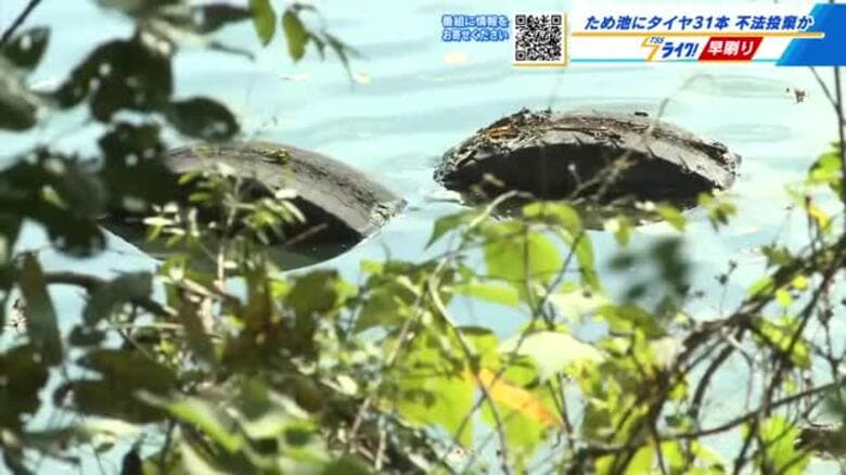 福山の農業用ため池に廃タイヤ３１本が不法投棄　警察と市が現地調査　近隣住民から不安の声も｜FNNプライムオンライン