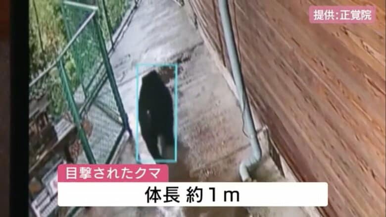 「クマは河川を通ってくる」専門家が指摘　市街地にクマ出没　地域の“クマレンジャー”が児童を見守る【広島発】｜FNNプライムオンライン