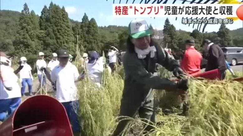 児童がトンブリの収穫を体験　「世界のトンブリに」応援大使ふかわりょうさんも駆け付ける　秋田・大館市｜FNNプライムオンライン