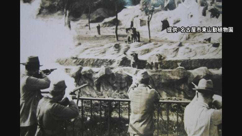 射殺命令出るも園長が必死の訴え…太平洋戦争中に命を守られた2頭のゾウ 学生たちが伝える“知られざる歴史”｜FNNプライムオンライン