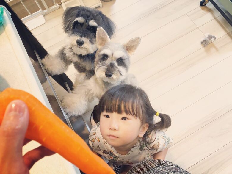 提供:jiji&totoさん