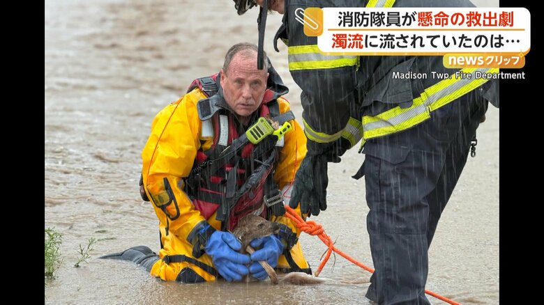 消防隊員に抱えられるシカの赤ちゃん