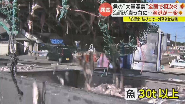 少なくとも30トン以上が死んだとみられる