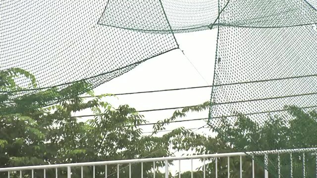 簡易的にネットをはるが隙間がちらほら