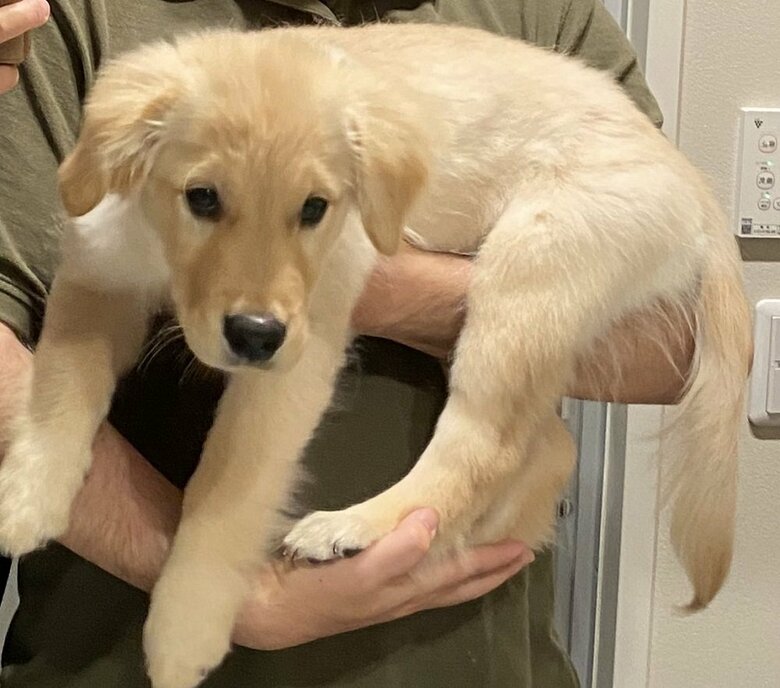 6月2日撮影の成長記録　お風呂と勘違いしているチロルちゃん