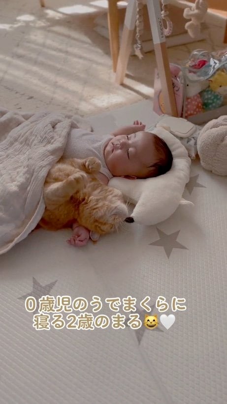 提供：ひなまる色さん