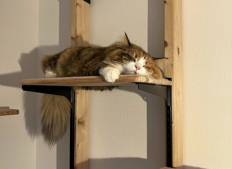 まったりくつろぐことも…