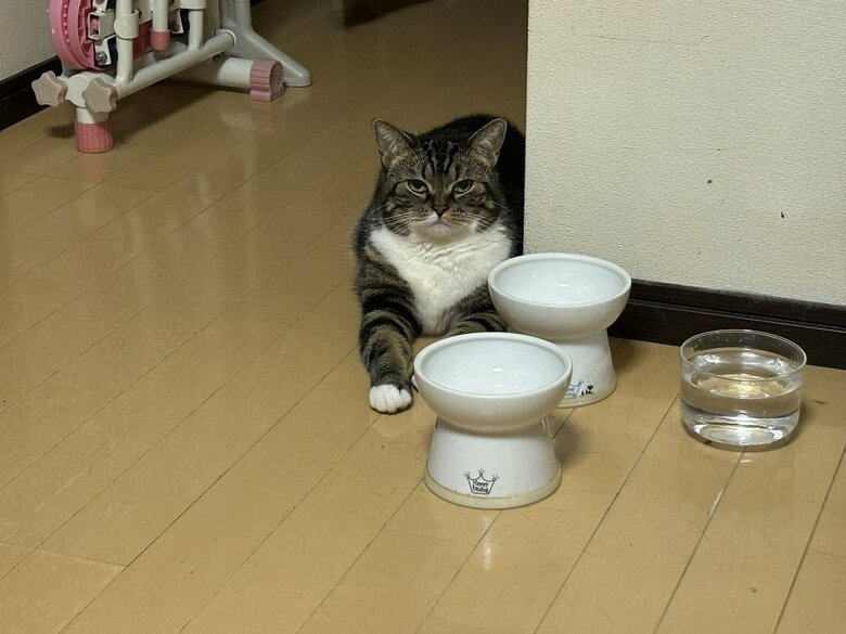 寝坊していなくともアピール