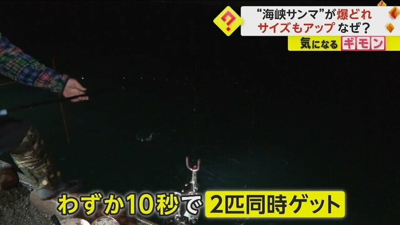 10月31日、花咲港で釣り糸を垂らす釣り人