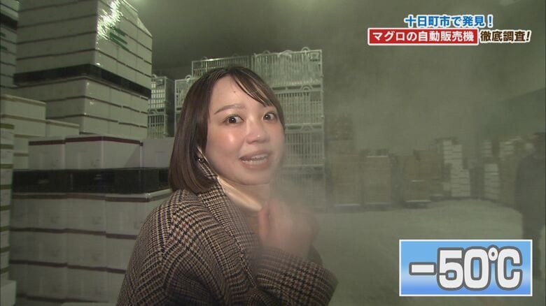 マグロを保管するマイナス50℃の巨大冷凍庫