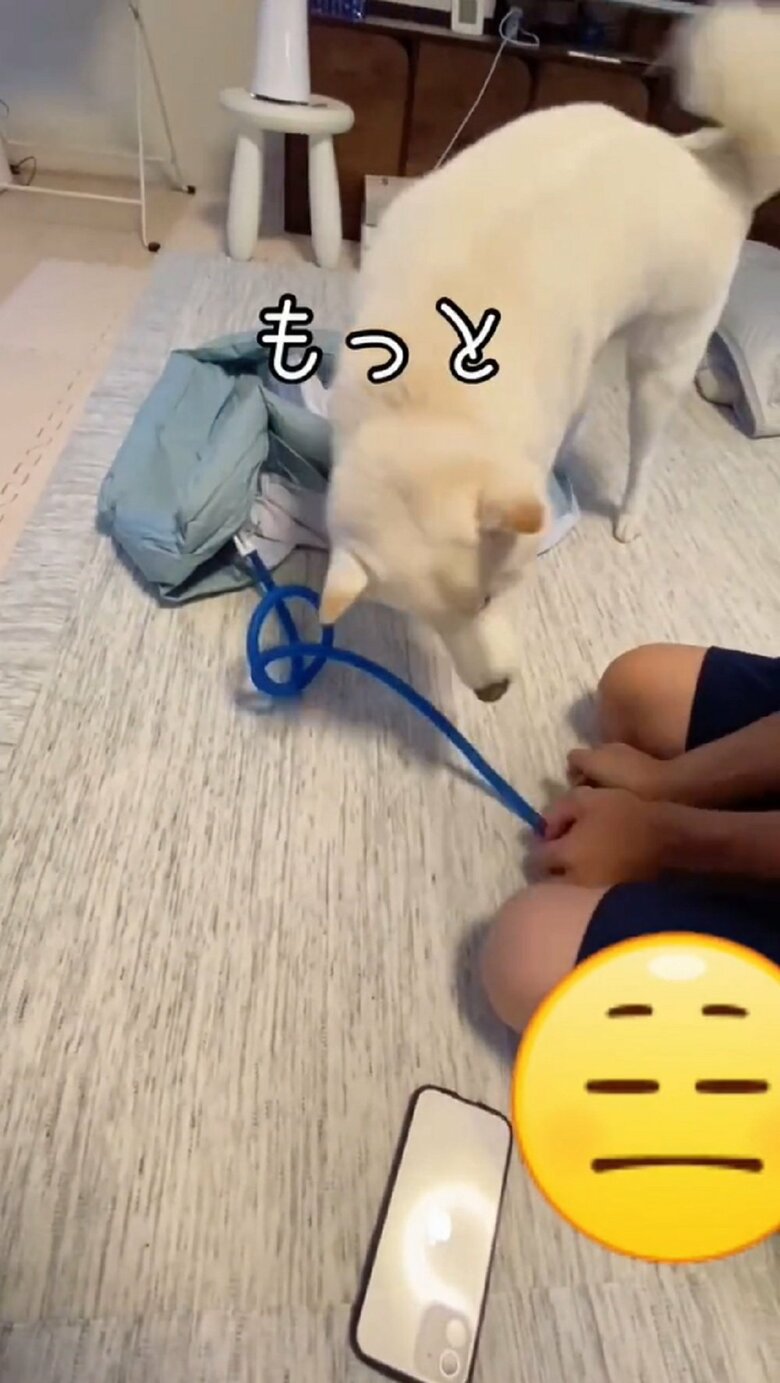 「もっと」