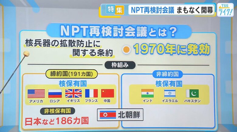 ＮＰＴ再検討会議とは？