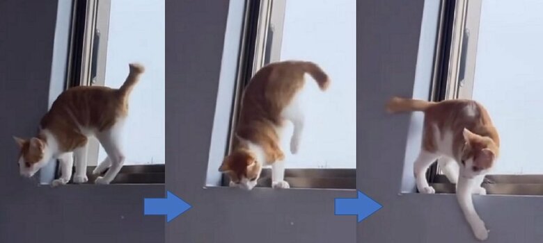 生後4カ月頃　初めての逆立ちUターン